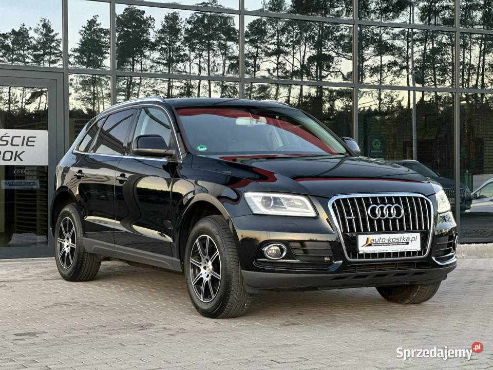 Audi Q5 Iręka8xAlu Półskóra Bixenon Grzane 177KM opolskie
