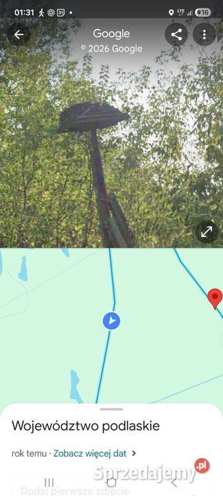NA SPRZEDAŻ WYJĄTKOWY LAS Rzeki Narew IDEALNA Włochówka sprzedam