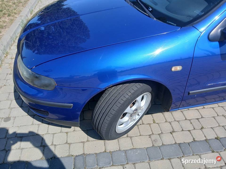 Toledo 2 niebieski Brześć Kujawski