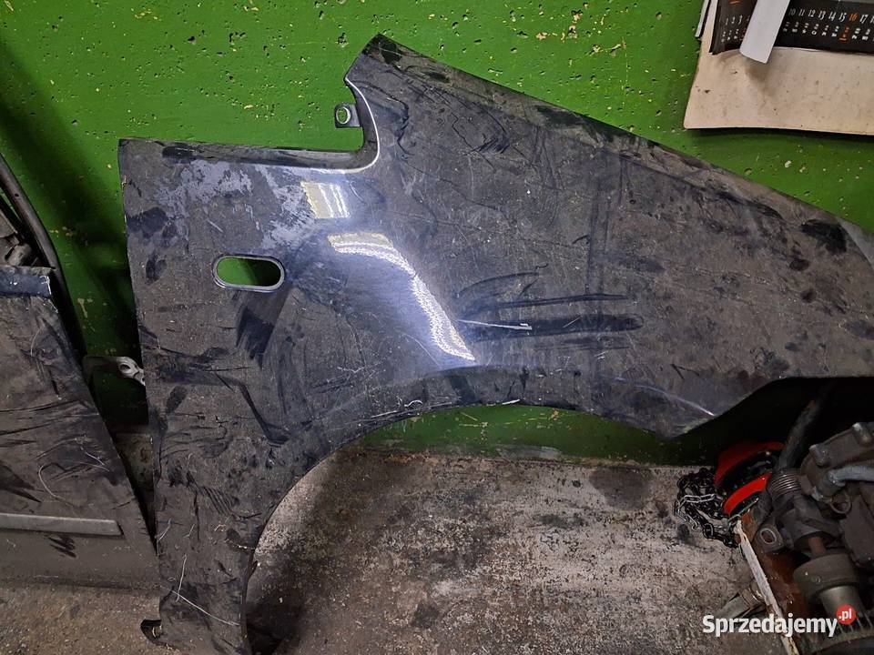 Drzwi blotnik cmax 09r Głogów