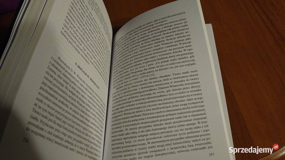 Euoi studia z symbolizmu i metaforyzacji sprzedam