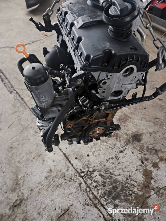 Silnik 19tdi 115 AJM audi VW Skoda seat wielkopolskie Kępno