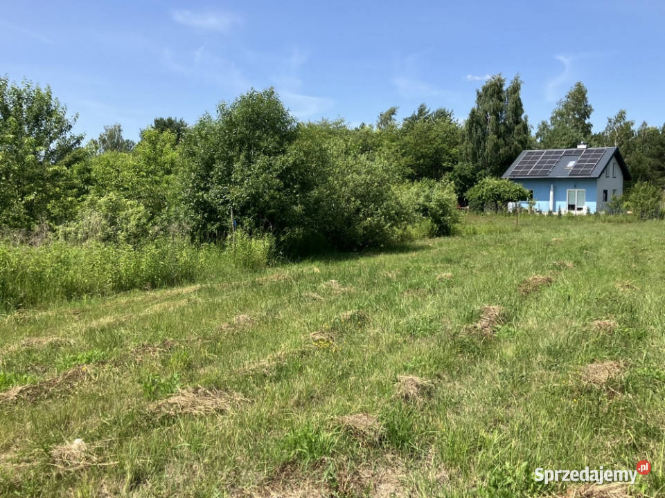 Urokliwa działka Żółwin Południowa Sprzedaż mazowieckie