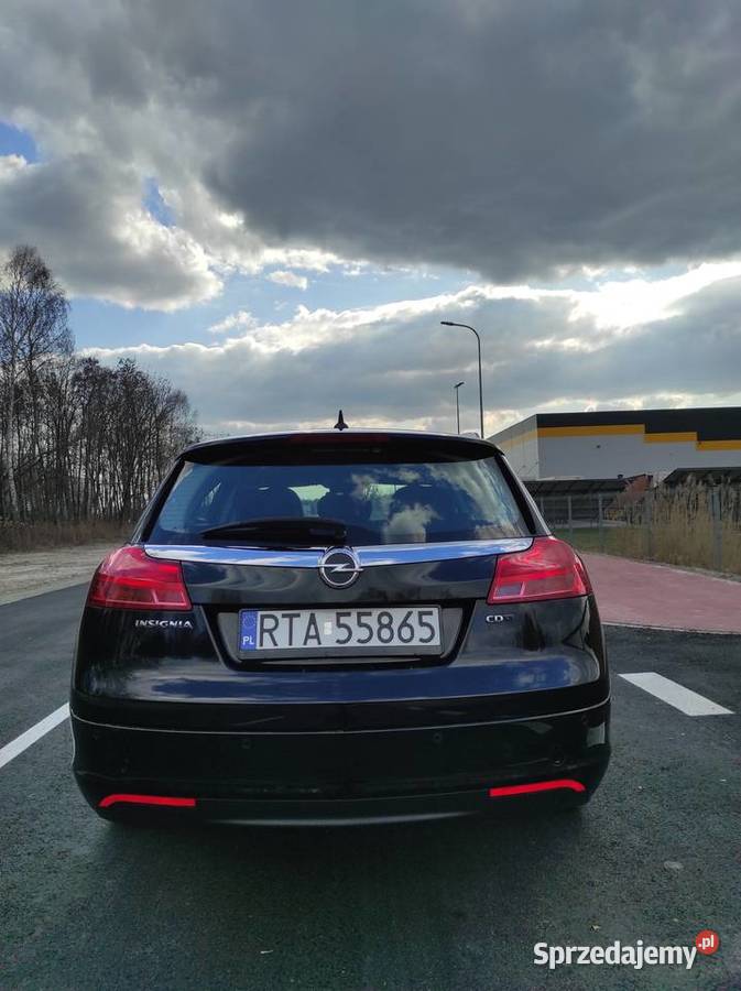 Opel Insignia 20 CDTI 165 2009r serwisie 2 podkarpackie Chmielów