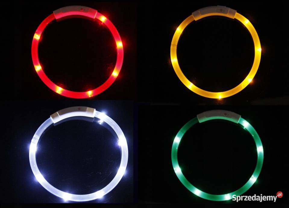 OBROŻA ŚWIECĄCA LED PSA I KOTA REGULACJA 70 Dla psów Toruń