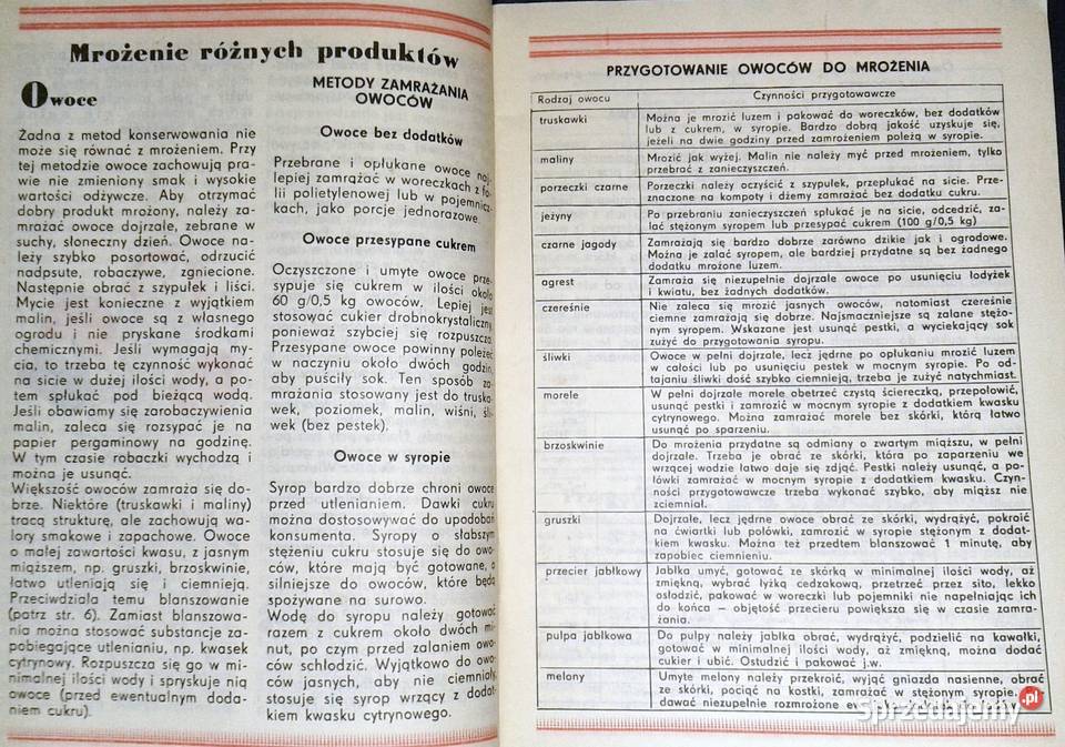 Mrożonkowe ABC Ludmiła Grudowa lubelskie Chełm