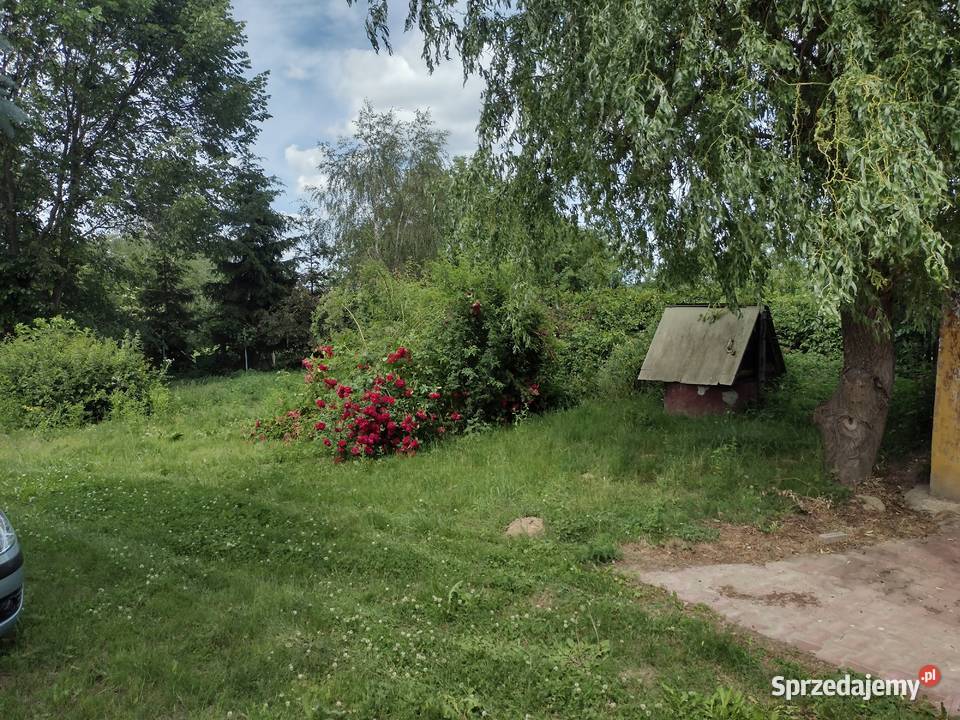 Siedlisko z domkiem drewnianym i polem trasie Przeuszyn