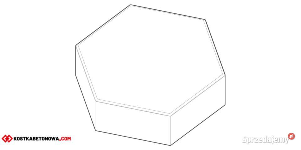 Trylinka Zwykła Betonowa