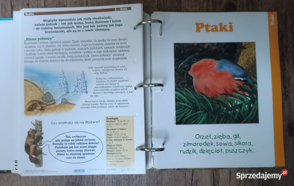 Leśne przygody segregator album DeAgostini małopolskie Zbylitowska Góra