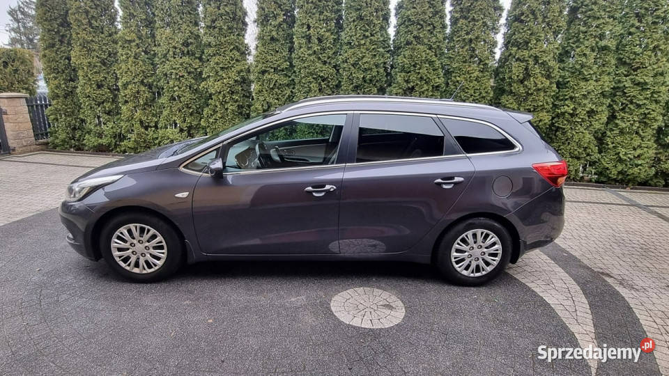 Kia Ceed Navi Kamera LED 16 128 GWARANCJA Zakup Płońsk