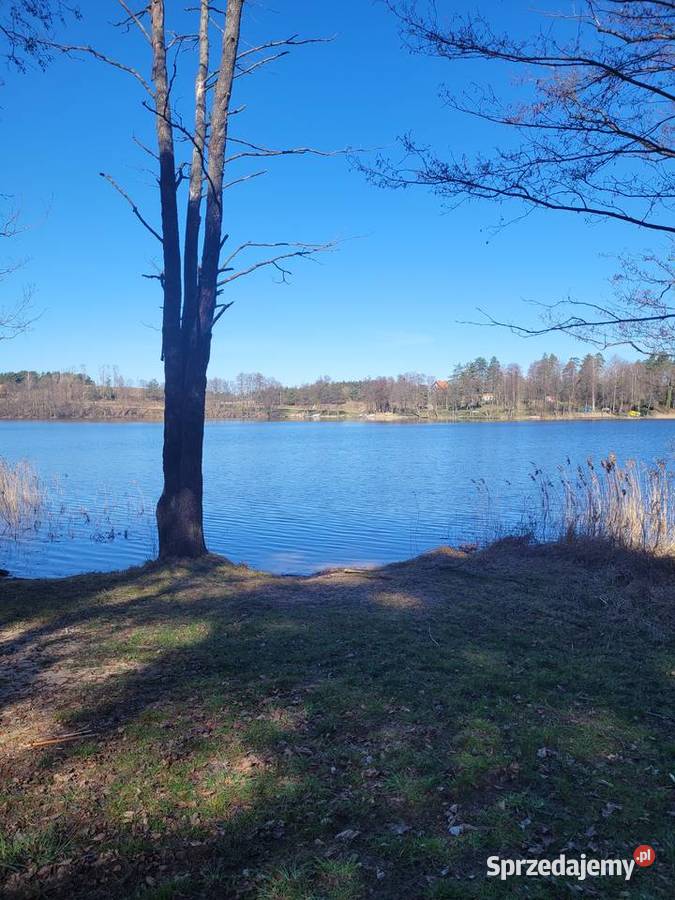 Działka rolna z warunkami zabudowy Lubiewo sprzedam