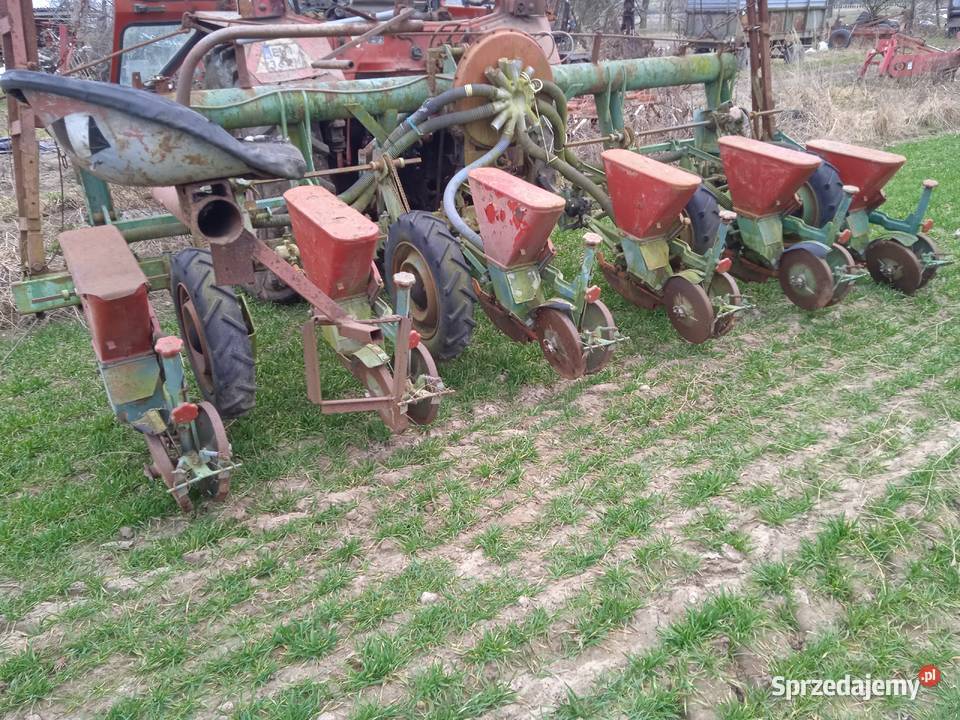 Siewnik do kukurydzy 6 rzędowy Nodet Pneumasem 2 nieuszkodzony Szynkielów sprzedam