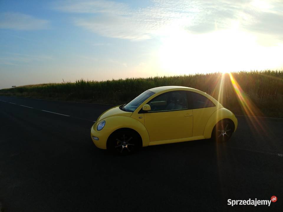 BEETLE nieuszkodzony kujawsko-pomorskie Toruń