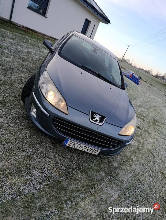 Peugeot 407 20 HDI 2006 Motoryzacja Przodkowo