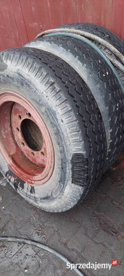 Sprzedamopony 900 20 Zbuczyn