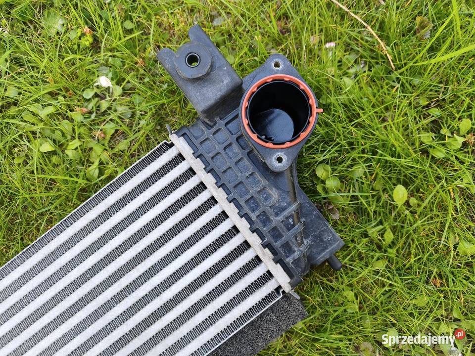Chłodnica intercooler Suzuki Vitara Scross