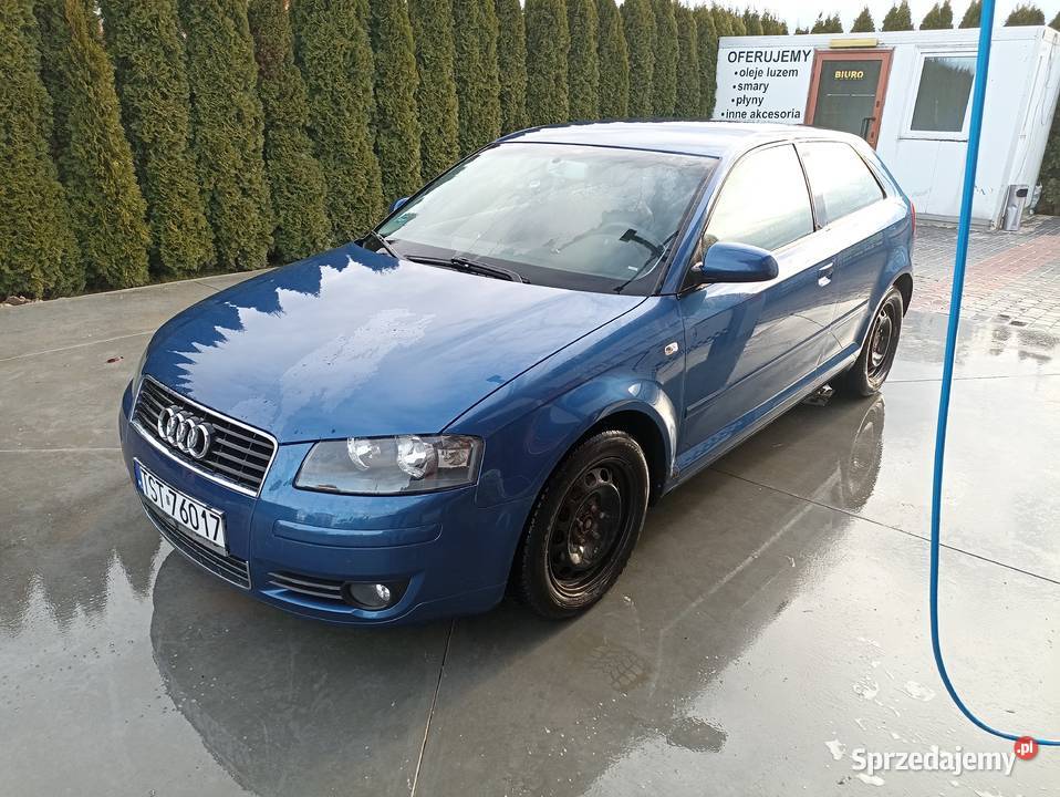 Audi A3 8P 2005 19 TDI BKC świętokrzyskie Starachowice