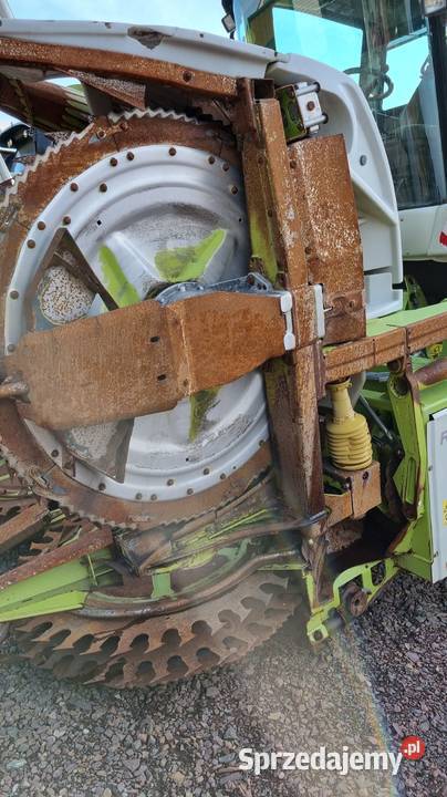 Przystawka heder kukurydzy Claas Jaguar RU Xtra wielkopolskie