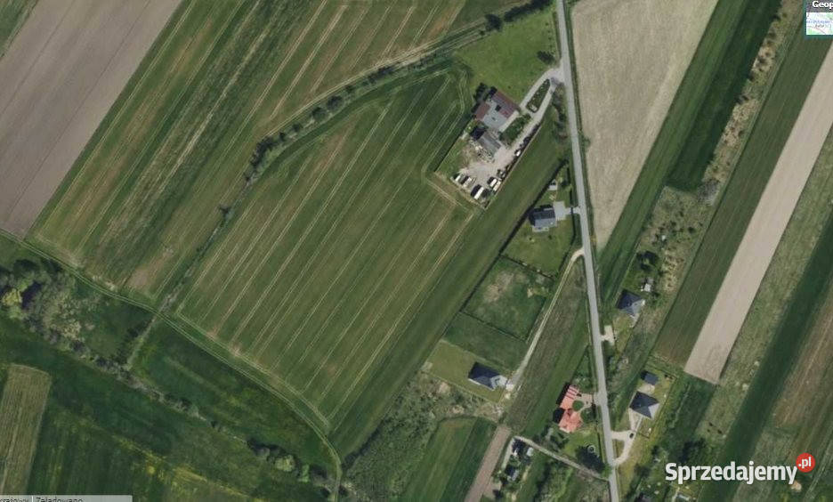 sprzedaży gruntu Wygiełzów 8400m2 sprzedam