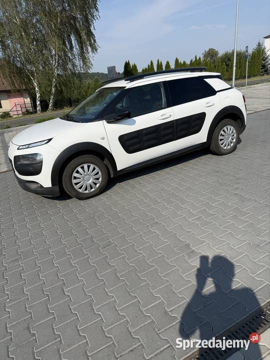 Citroen C4 Cactus elektryczne lusterka Kalwaria Zebrzydowska
