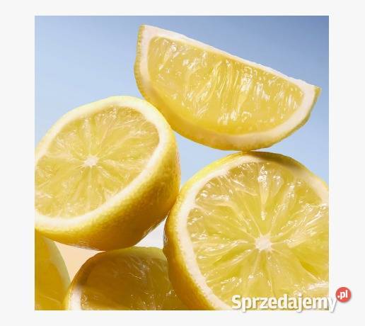 Perfumy męskie Azzaro Wanted 100 ml podlaskie Białystok