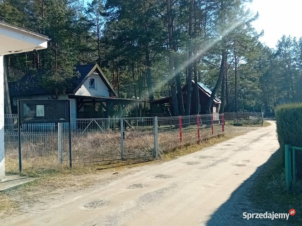 Syndyk sprzeda nieruchomość wczasową Martiany utwardzona warmińsko-mazurskie