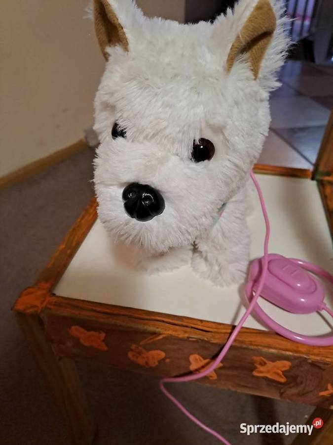 Piesek na baterie biały Sosnowiec sprzedam