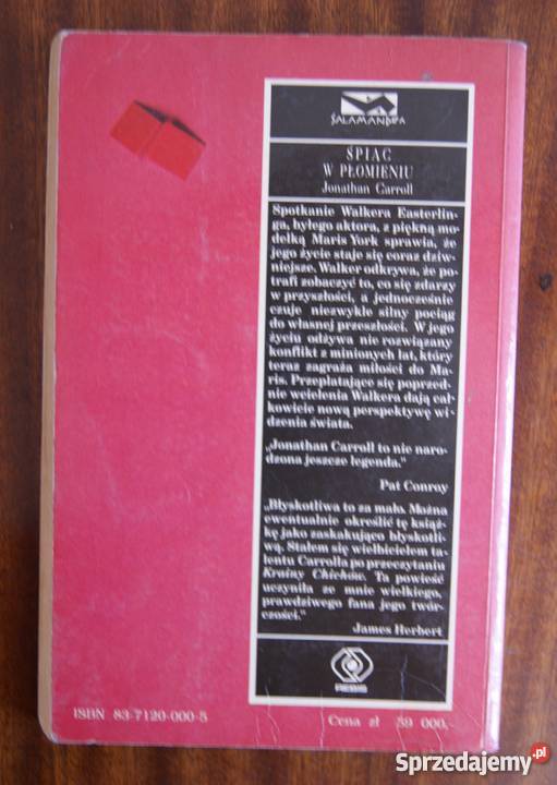 Jonathan Carroll Śpiąc w płomieniu