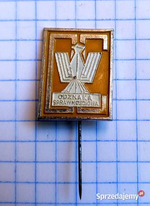 ODZNAKA SPRAWNOŚCIOWA NADAWANA CZASÓW LWP Piszczac