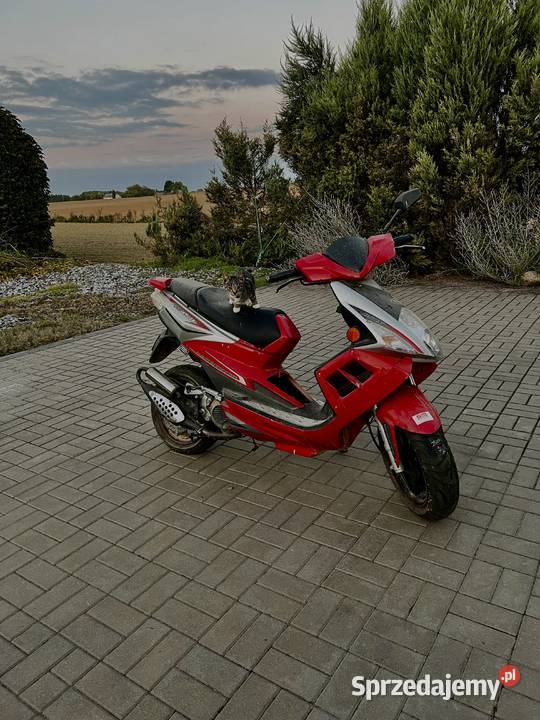 Skuter tgb r50x sports Bronice-Kolonia
