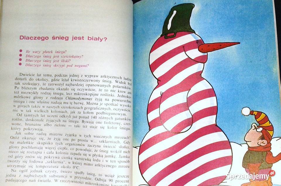 Dlaczego sól jest słona czyli odpowiedzi na lubelskie Chełm