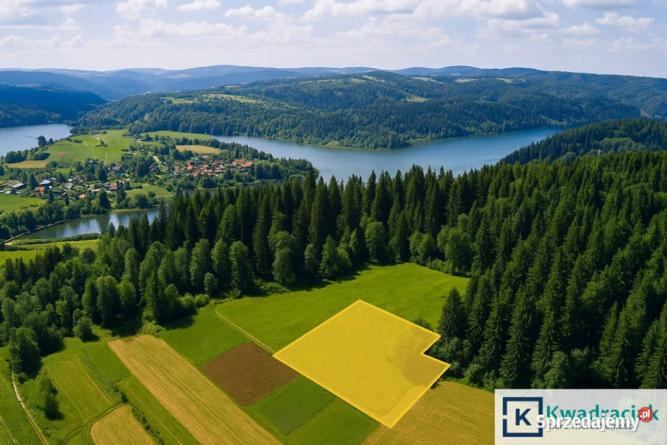 Ogłoszenie grunt Zawóz 4214m2 podkarpackie