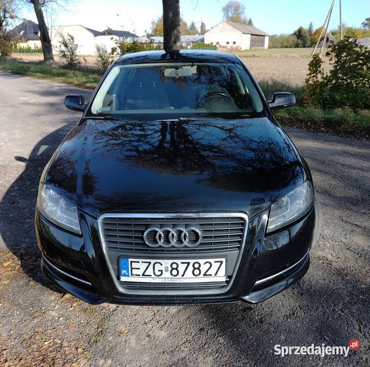 Audi A3 8P 2010 Manual 16 TDI Ozorków