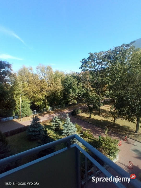 Saska Kępa kawalerka studio wynajem apartament Warszawa