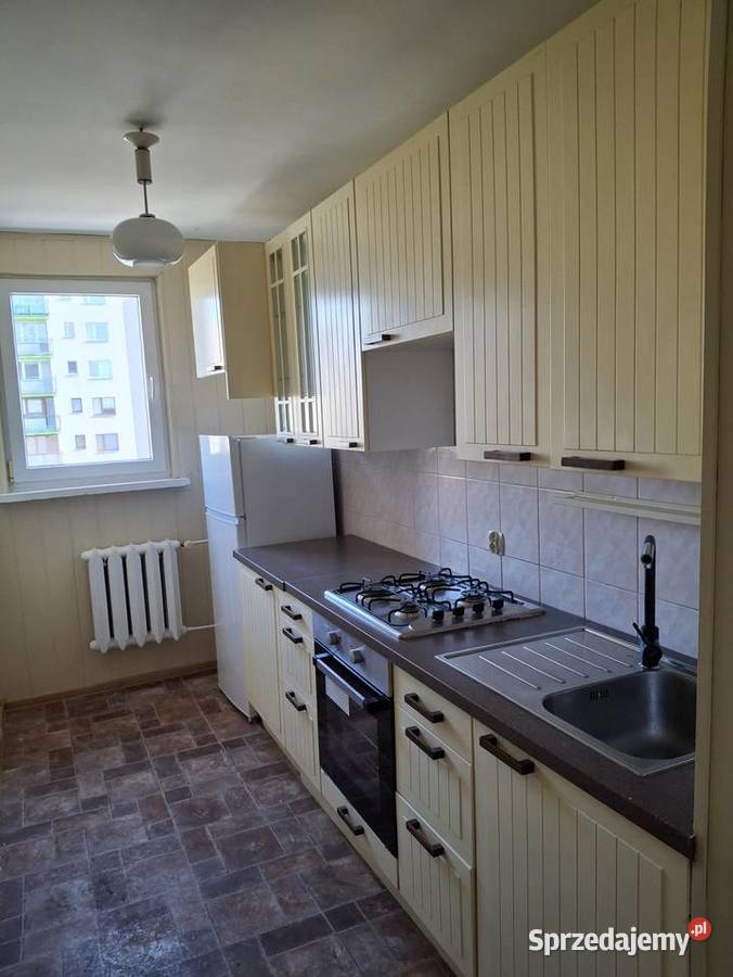 Pokój do wynajęcia Sosnowiec