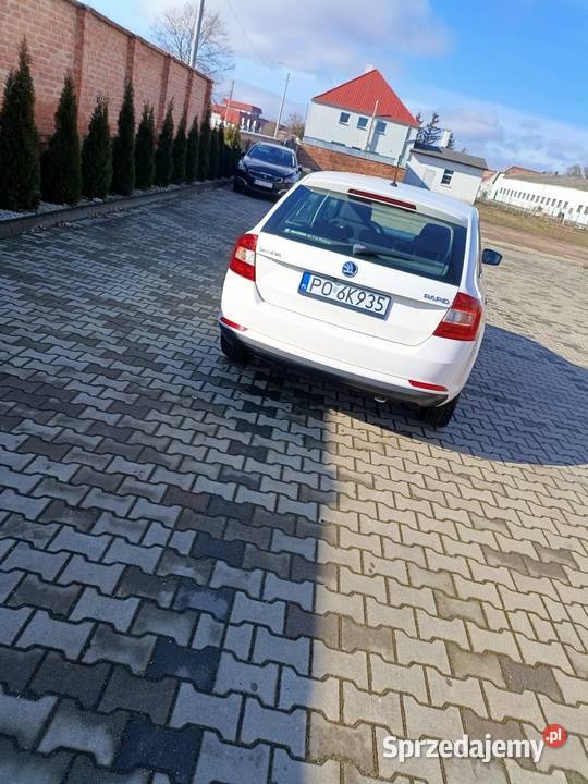 Skoda Rapid 2015 Kościan