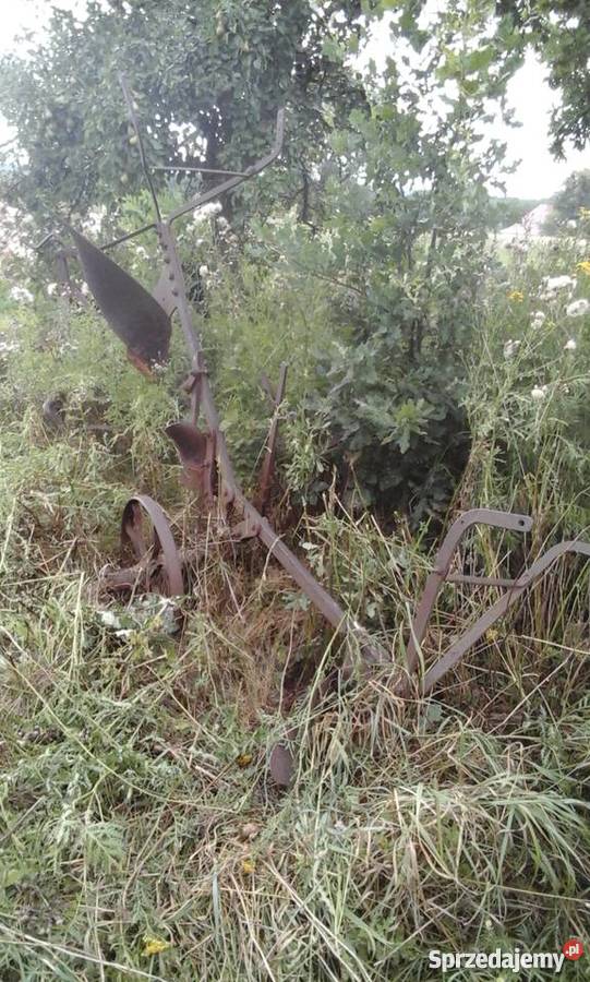 Pług konny zabytekdwu skibowy obrotowy ozdoba do opolskie Gorzów Śląski