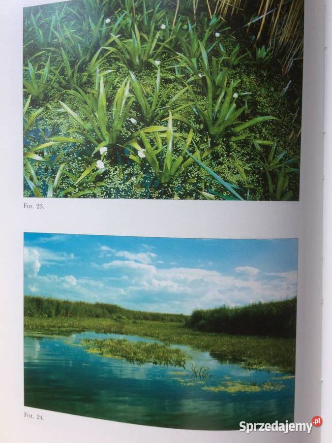 3014 Dolina Dolnej Odry Szczecin