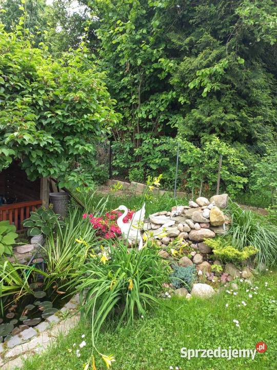 Dzialka ROD Bernatówka64 20m Dys