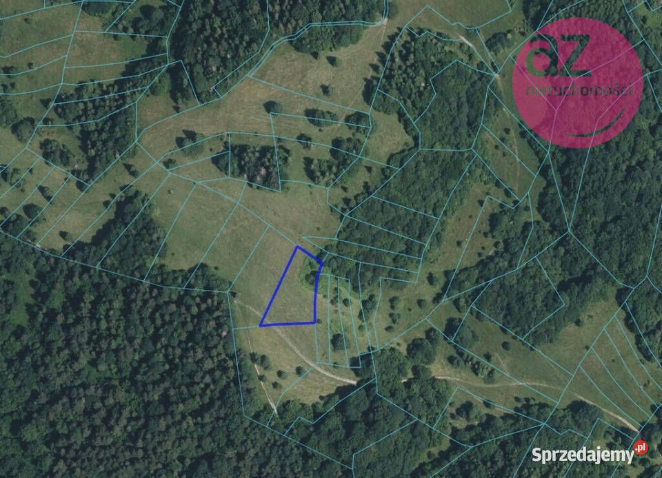 Malownicze 2 działki rolne w Szczawnicy Szczawnica