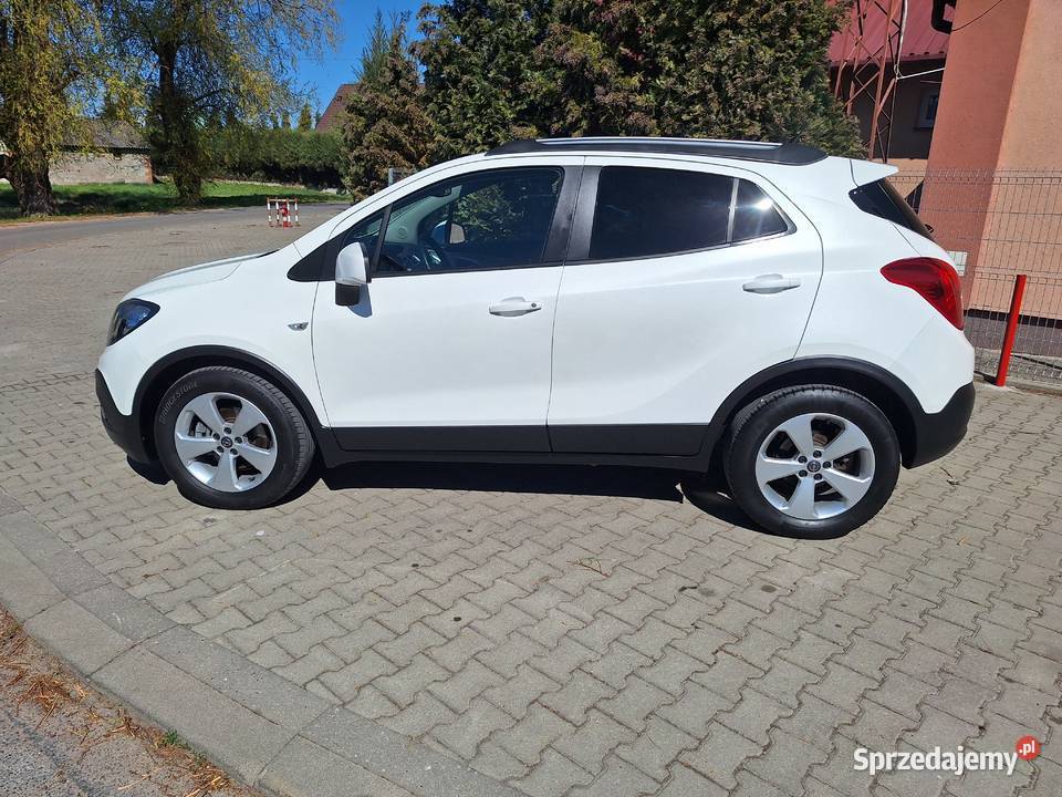 SPROWADZONYSERWISOWANYKAMERA lubelskie Zamość
