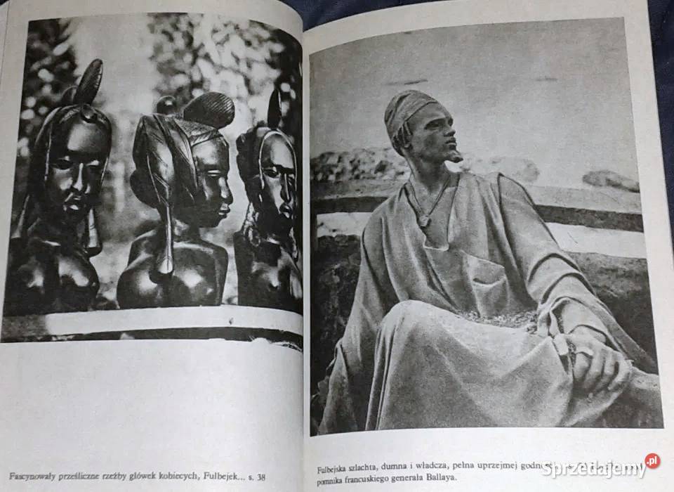 Nowa przygoda Gwinea Arkady Fiedler Pozostałe Chełm