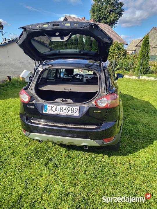 Ford Kuga Miechucino