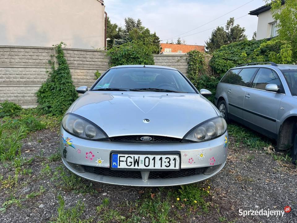 Ford cougar szuka nowej przygody