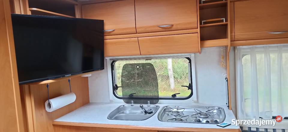 Przyczepa kempingowa Wilk Stern 450 piękne 300kg Dobiegniew