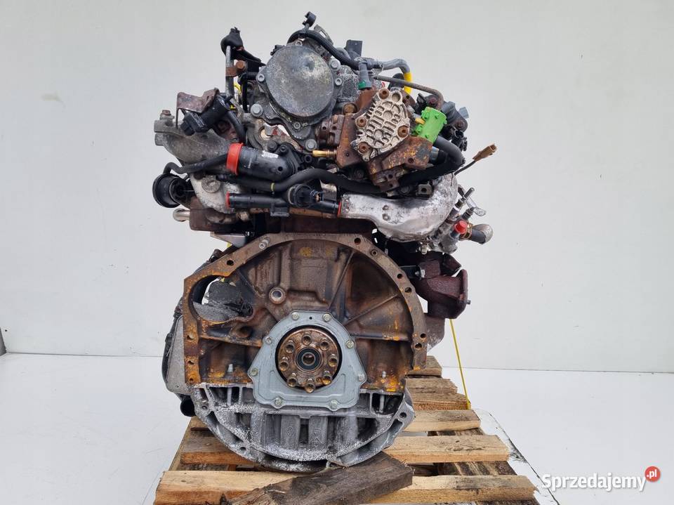 SILNIK KOMPLET Renault Master III 23 DCI 101 227 Rudka