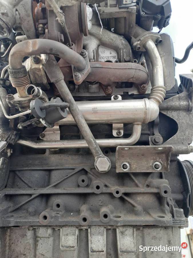 Audi Seat Skoda Volkswagen 19 TDi 105 silnik Jastrzębie-Zdrój