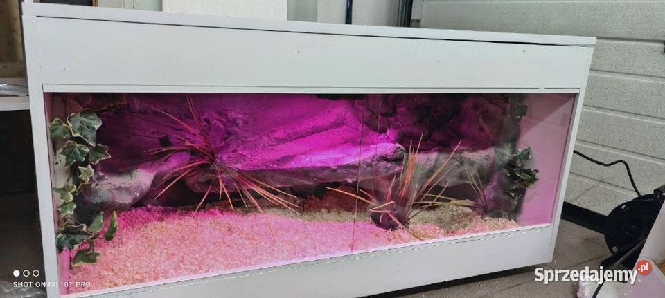 Terrarium specjalistyczne żółwia greckiego podlaskie Białystok