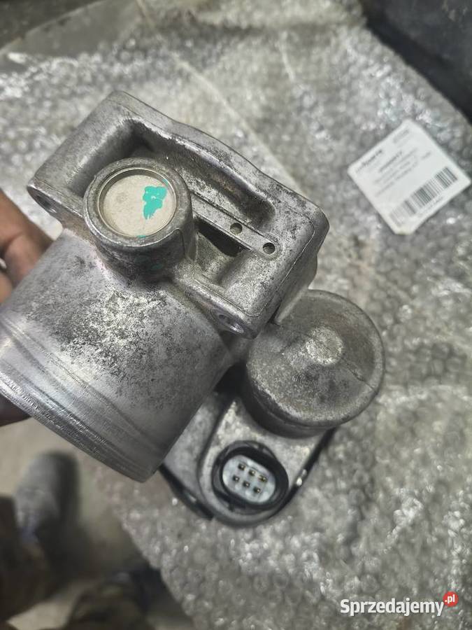 Przepustnica VW bora Seat 16 Kazimierza Wielka