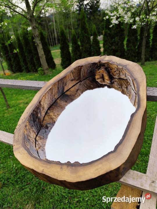 Lustro w pniu drzewa Limanowa